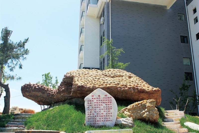 业照护康语轩孙河老年公寓医养结合服务项目详解PG电子麻将胡了22026最新北京失智老人专(图16)