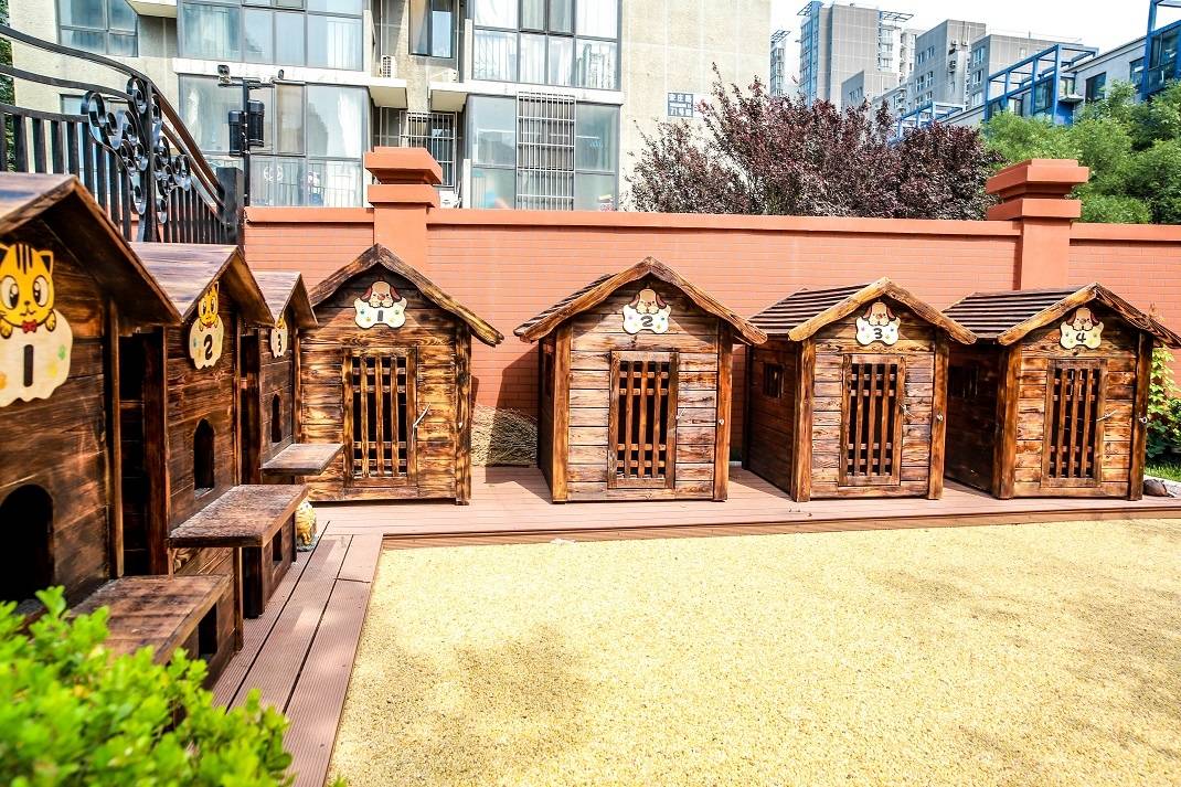 社区|光大汇晨北京老年公寓(北七家)|参观入住攻略呈上麻将胡了游戏2026最新|长护险可用临终关怀高端养老(图5) 社区|光大汇晨北京老年公寓(北七家)|参观入住攻略呈上麻将胡了游戏2026最新|长护险可用临终关怀高端养老(图5)