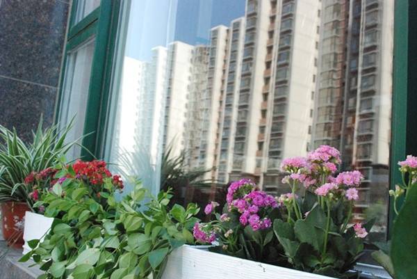 社区|光大汇晨北京老年公寓(北七家)|参观入住攻略呈上麻将胡了游戏2026最新|长护险可用临终关怀高端养老(图45) 社区|光大汇晨北京老年公寓(北七家)|参观入住攻略呈上麻将胡了游戏2026最新|长护险可用临终关怀高端养老(图45)